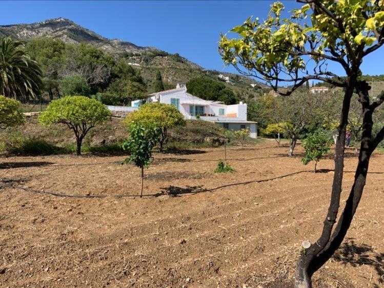 Casa 2Mariposas Mijas Exterior foto
